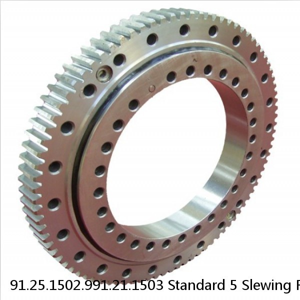 91.25.1502.991.21.1503 Standard 5 Slewing Ring Bearings