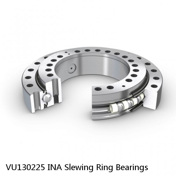 VU130225 INA Slewing Ring Bearings