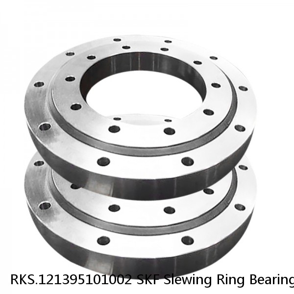 RKS.121395101002 SKF Slewing Ring Bearings