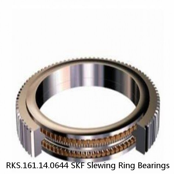 RKS.161.14.0644 SKF Slewing Ring Bearings