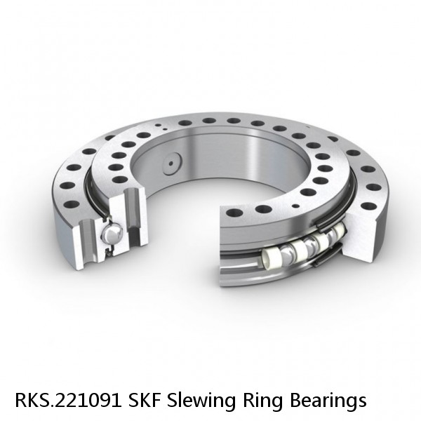 RKS.221091 SKF Slewing Ring Bearings