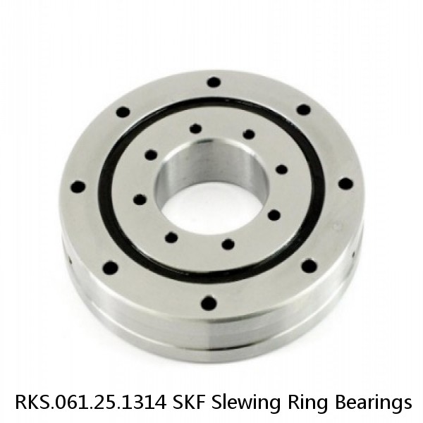 RKS.061.25.1314 SKF Slewing Ring Bearings