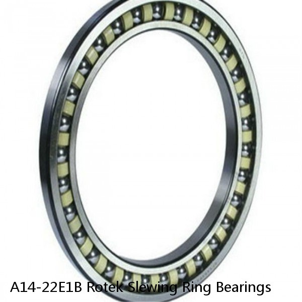 A14-22E1B Rotek Slewing Ring Bearings