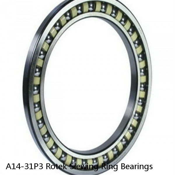 A14-31P3 Rotek Slewing Ring Bearings