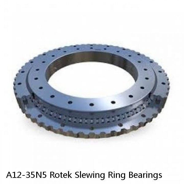 A12-35N5 Rotek Slewing Ring Bearings