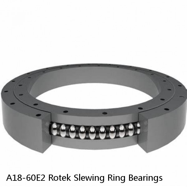 A18-60E2 Rotek Slewing Ring Bearings