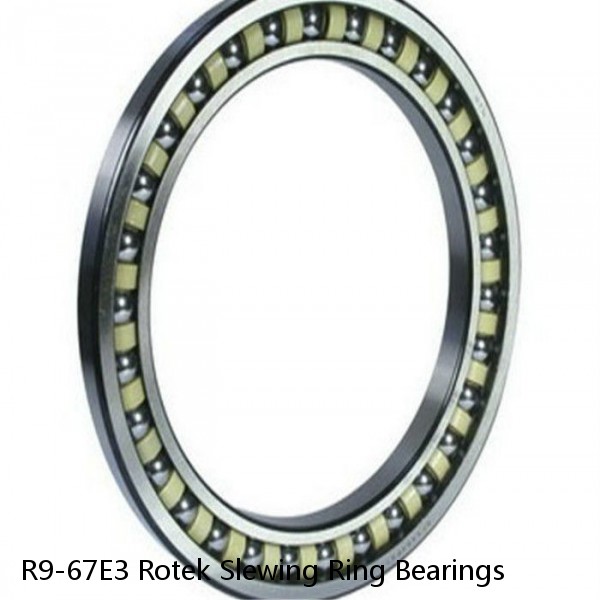 R9-67E3 Rotek Slewing Ring Bearings