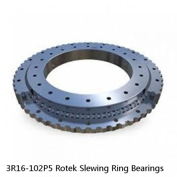 3R16-102P5 Rotek Slewing Ring Bearings