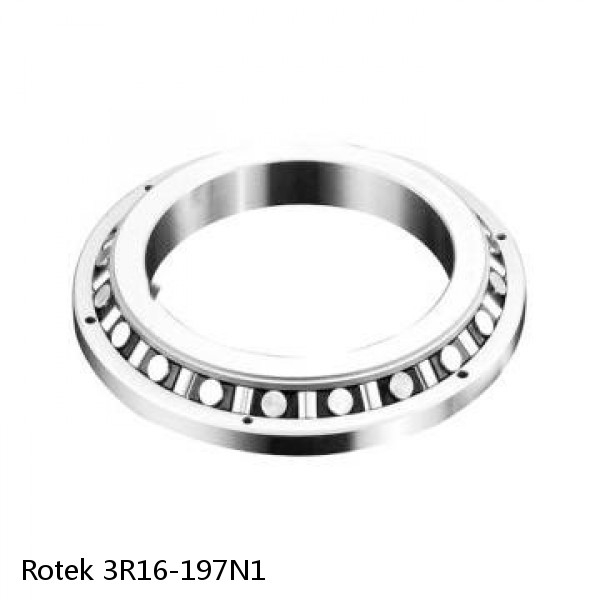 3R16-197N1 Rotek Slewing Ring Bearings