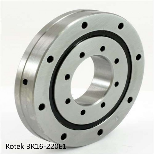 3R16-220E1 Rotek Slewing Ring Bearings