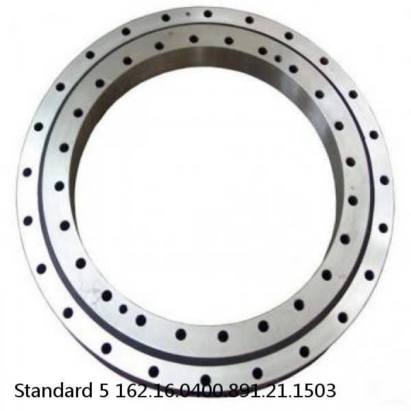 162.16.0400.891.21.1503 Standard 5 Slewing Ring Bearings