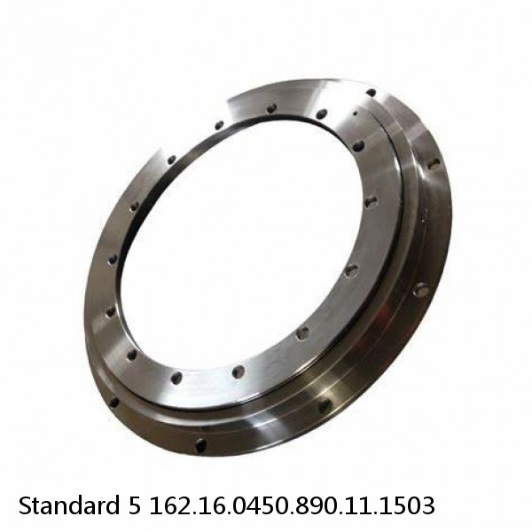 162.16.0450.890.11.1503 Standard 5 Slewing Ring Bearings