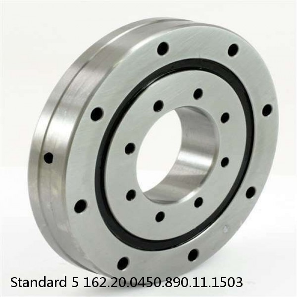 162.20.0450.890.11.1503 Standard 5 Slewing Ring Bearings