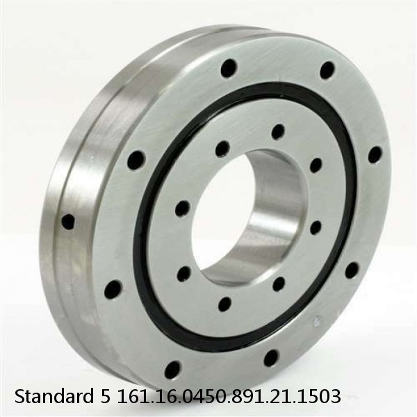 161.16.0450.891.21.1503 Standard 5 Slewing Ring Bearings