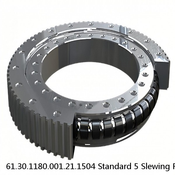 61.30.1180.001.21.1504 Standard 5 Slewing Ring Bearings