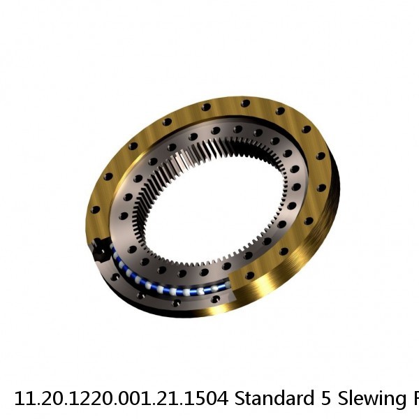 11.20.1220.001.21.1504 Standard 5 Slewing Ring Bearings