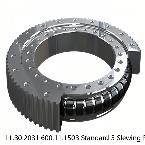 11.30.2031.600.11.1503 Standard 5 Slewing Ring Bearings