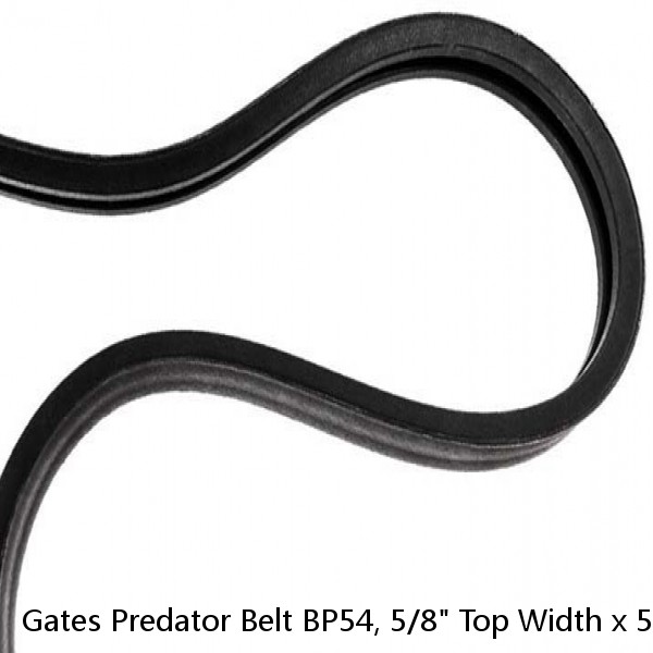 Gates Predator Belt BP54, 5/8" Top Width x 57" Outside 9186-0054