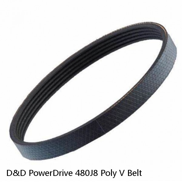 D&D PowerDrive 480J8 Poly V Belt