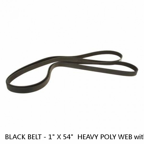 BLACK BELT - 1" X 54"  HEAVY POLY WEB with SIDE RELEASE BUCKLE