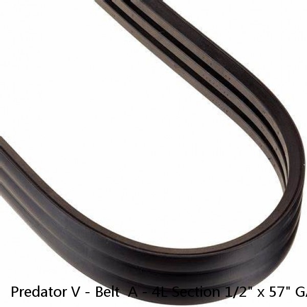 Predator V - Belt  A - 4L Section 1/2" x 57" GATES 4L570 / AP55