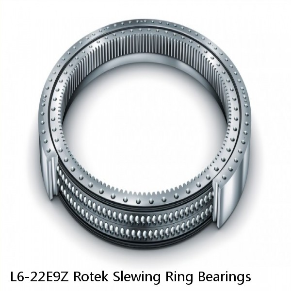 L6-22E9Z Rotek Slewing Ring Bearings #1 small image