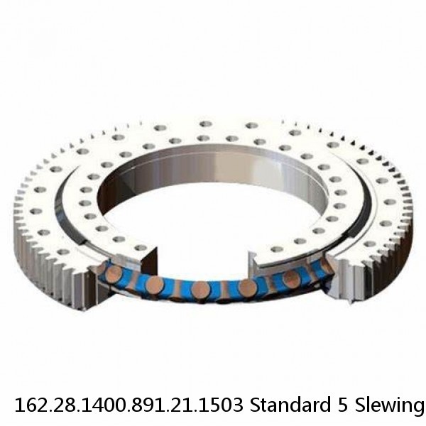 162.28.1400.891.21.1503 Standard 5 Slewing Ring Bearings #1 small image