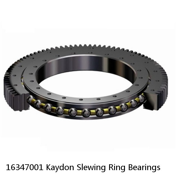 16347001 Kaydon Slewing Ring Bearings #1 small image