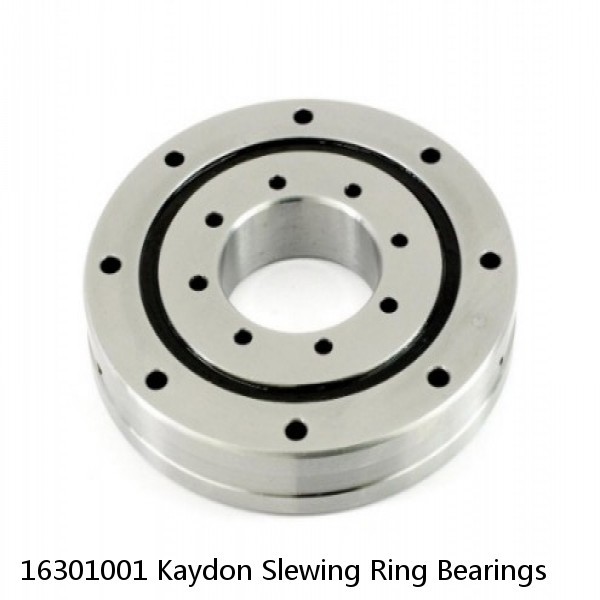 16301001 Kaydon Slewing Ring Bearings #1 small image