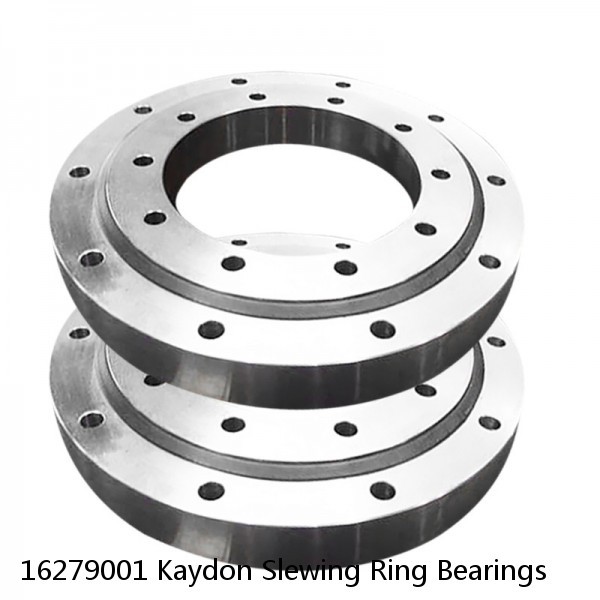 16279001 Kaydon Slewing Ring Bearings #1 small image