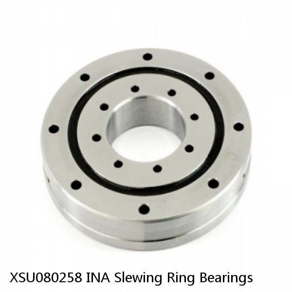 XSU080258 INA Slewing Ring Bearings #1 small image