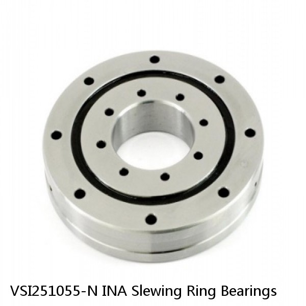 VSI251055-N INA Slewing Ring Bearings #1 small image