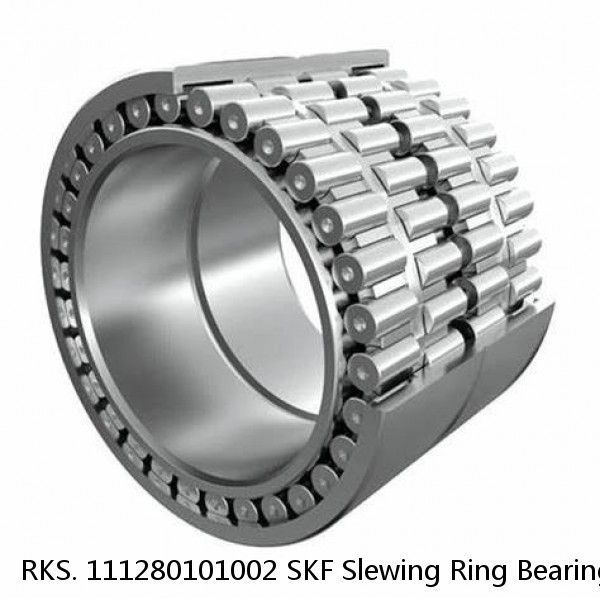 RKS. 111280101002 SKF Slewing Ring Bearings #1 small image