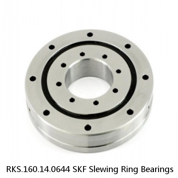 RKS.160.14.0644 SKF Slewing Ring Bearings #1 small image