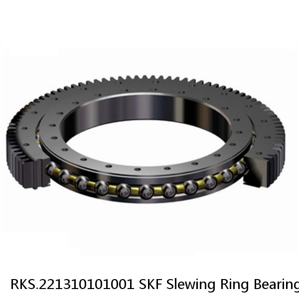 RKS.221310101001 SKF Slewing Ring Bearings #1 small image