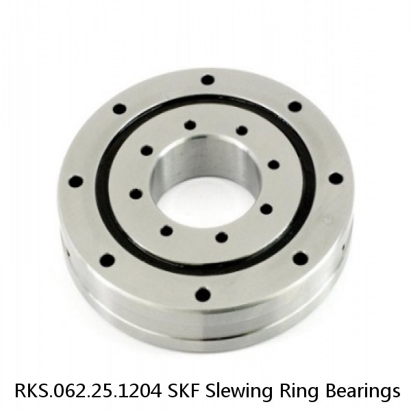 RKS.062.25.1204 SKF Slewing Ring Bearings