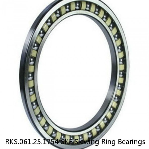 RKS.061.25.1754 SKF Slewing Ring Bearings #1 small image