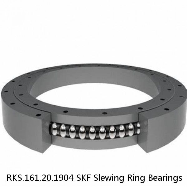 RKS.161.20.1904 SKF Slewing Ring Bearings #1 small image