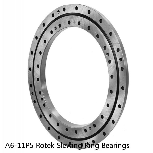 A6-11P5 Rotek Slewing Ring Bearings #1 small image