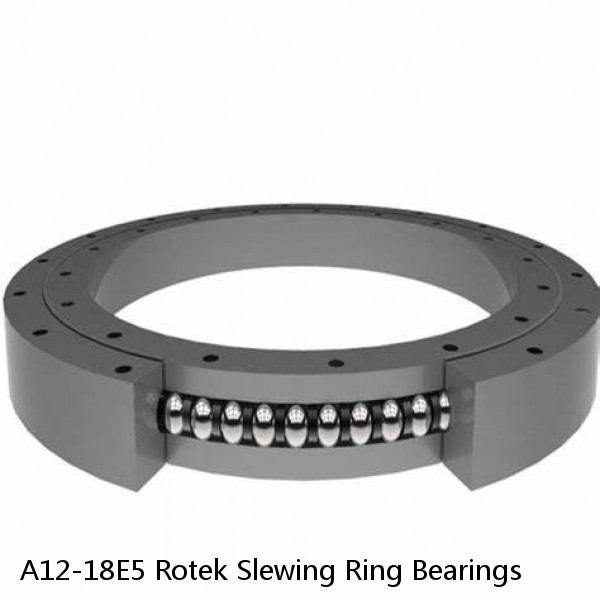 A12-18E5 Rotek Slewing Ring Bearings #1 small image