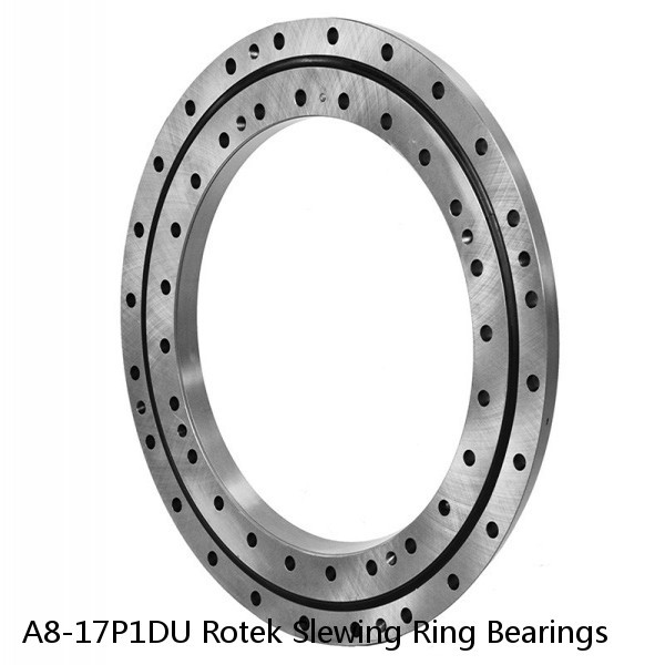 A8-17P1DU Rotek Slewing Ring Bearings