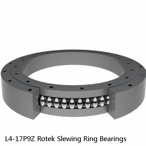 L4-17P9Z Rotek Slewing Ring Bearings #1 small image