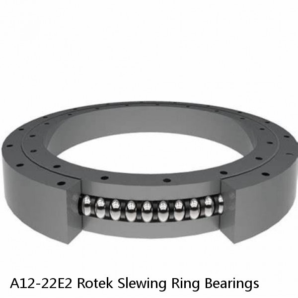 A12-22E2 Rotek Slewing Ring Bearings #1 small image