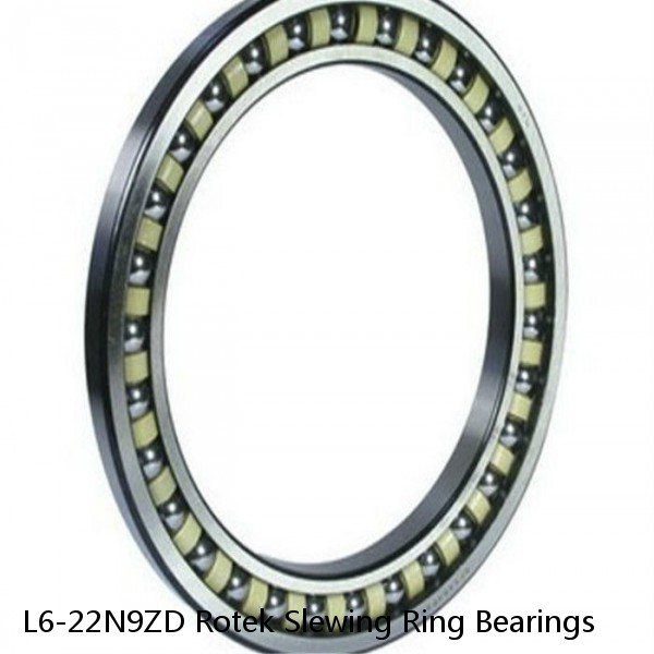 L6-22N9ZD Rotek Slewing Ring Bearings #1 small image