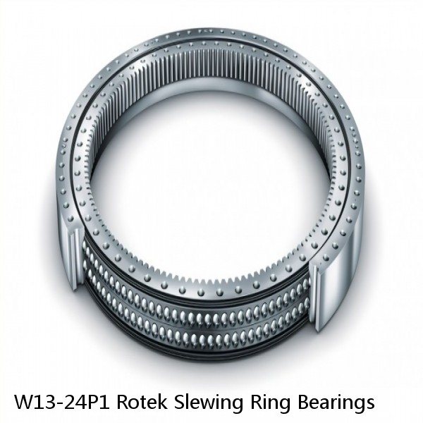 W13-24P1 Rotek Slewing Ring Bearings #1 small image