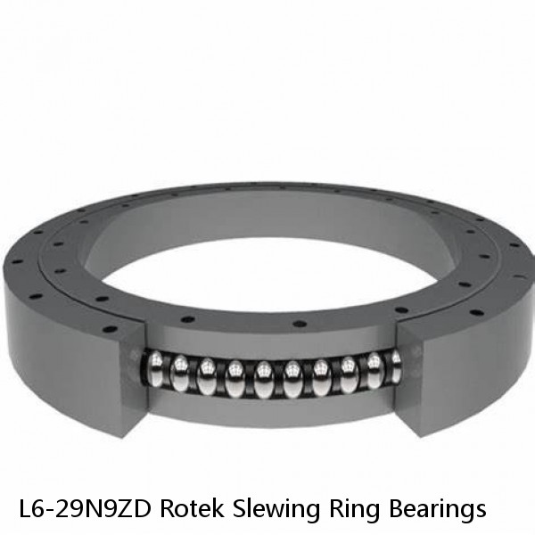 L6-29N9ZD Rotek Slewing Ring Bearings #1 small image