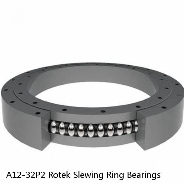 A12-32P2 Rotek Slewing Ring Bearings #1 small image