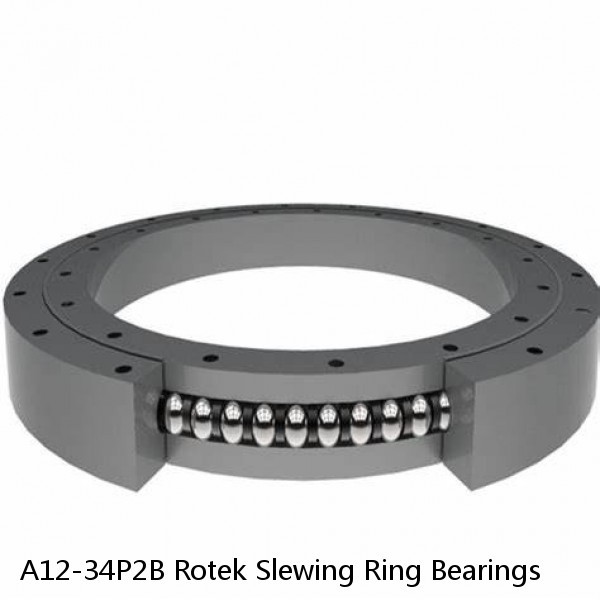 A12-34P2B Rotek Slewing Ring Bearings #1 small image