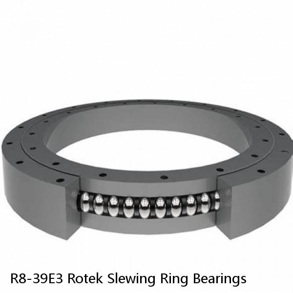 R8-39E3 Rotek Slewing Ring Bearings #1 small image