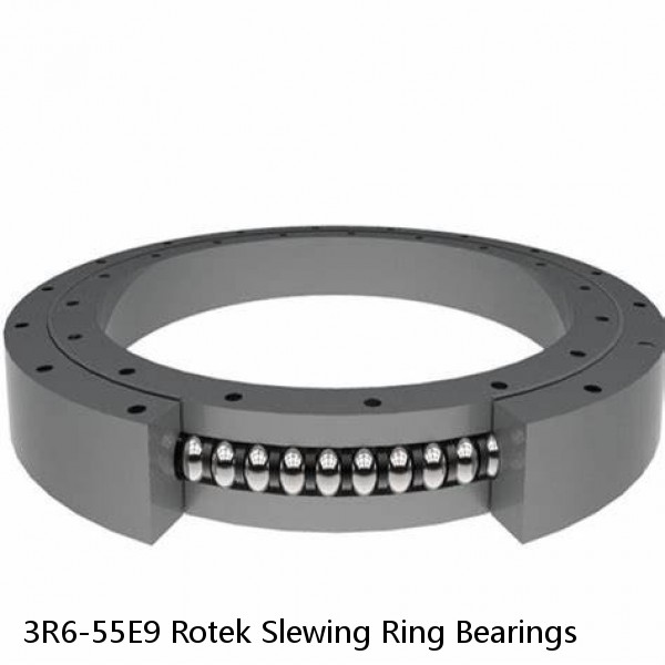 3R6-55E9 Rotek Slewing Ring Bearings #1 small image